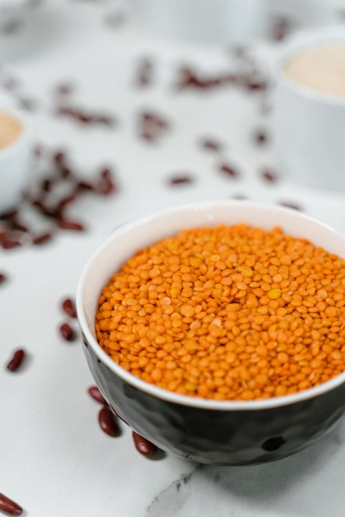 Lentil - Red